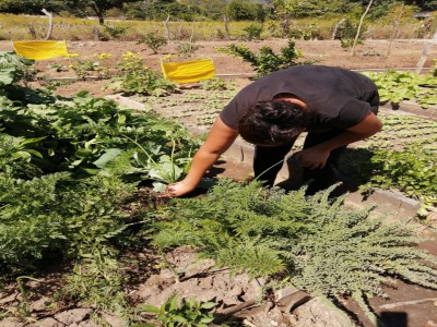 municipalidad de Santa Rosa de Lima